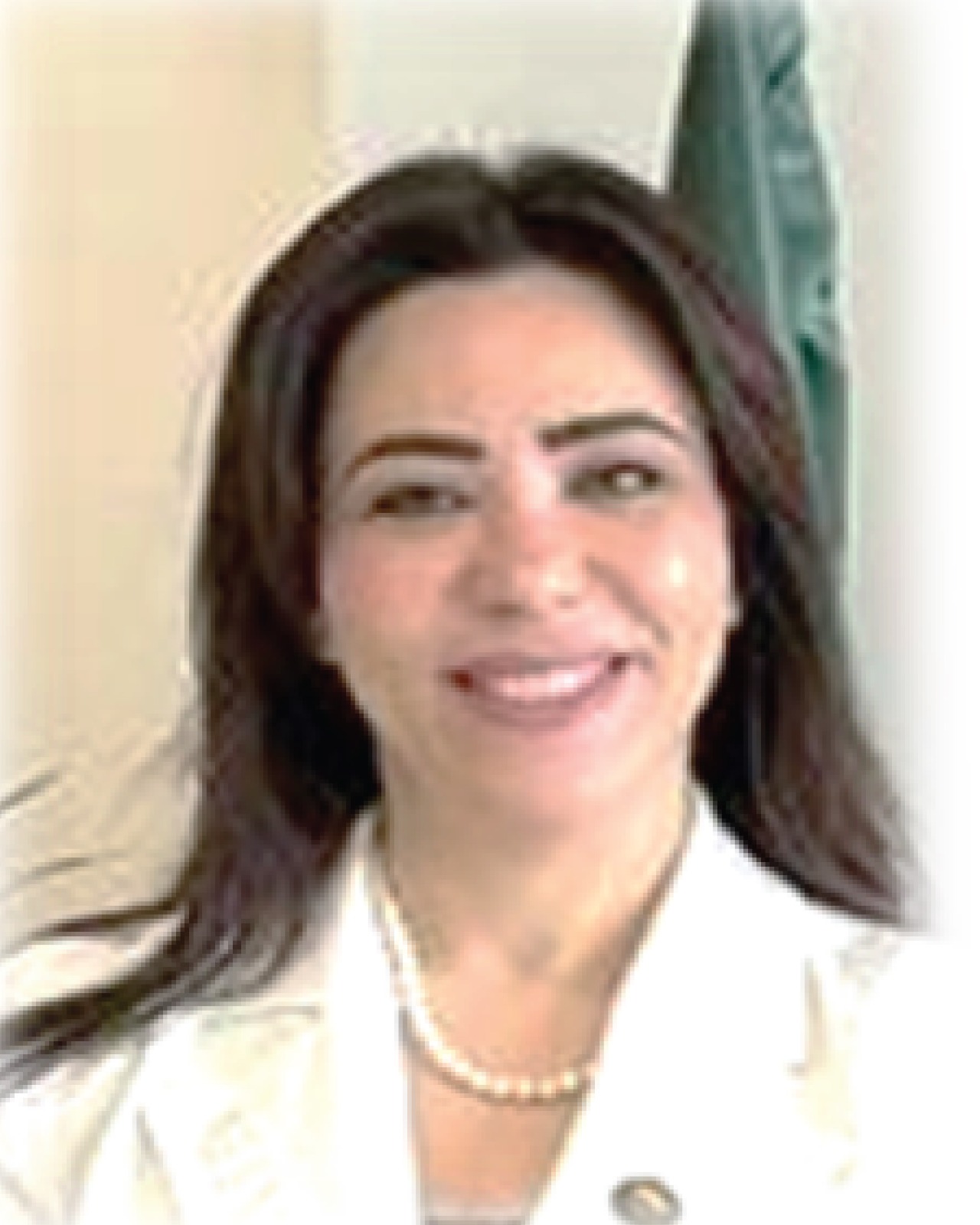 Portrait of Dr. Ghada Ali - Non-Executive Board Member